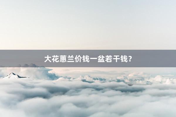 大花蕙兰价钱一盆若干钱?