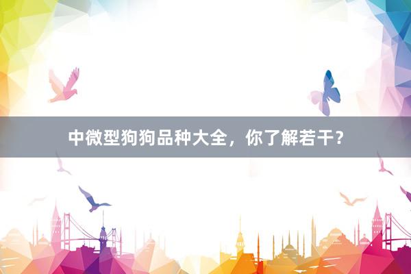 中微型狗狗品种大全，你了解若干？