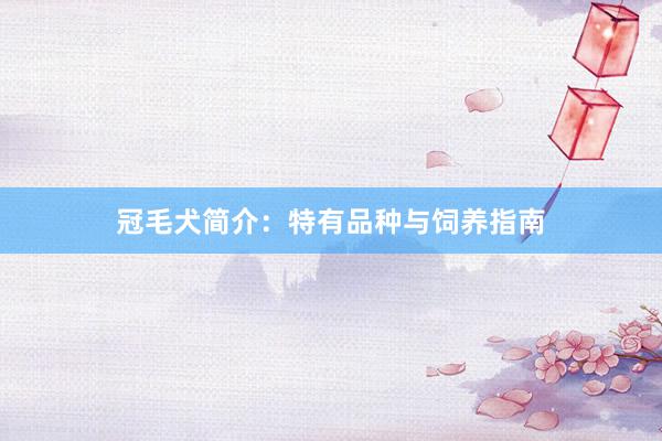 冠毛犬简介：特有品种与饲养指南