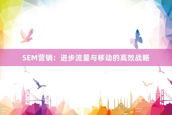 SEM营销：进步流量与移动的高效战略